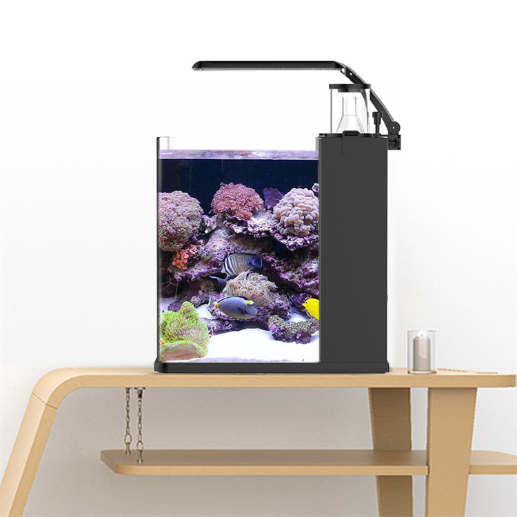 skynuo Ultra Clear Glass Mini  - đánh giá và giá Aquarium Marine Clearwater