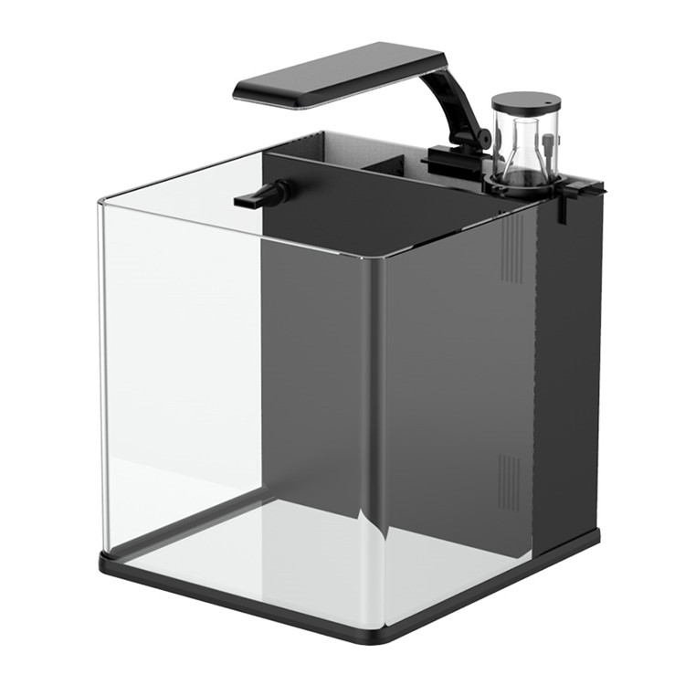 skynuo Ultra Clear Glass Mini  - đánh giá và giá Aquarium Marine Clearwater
