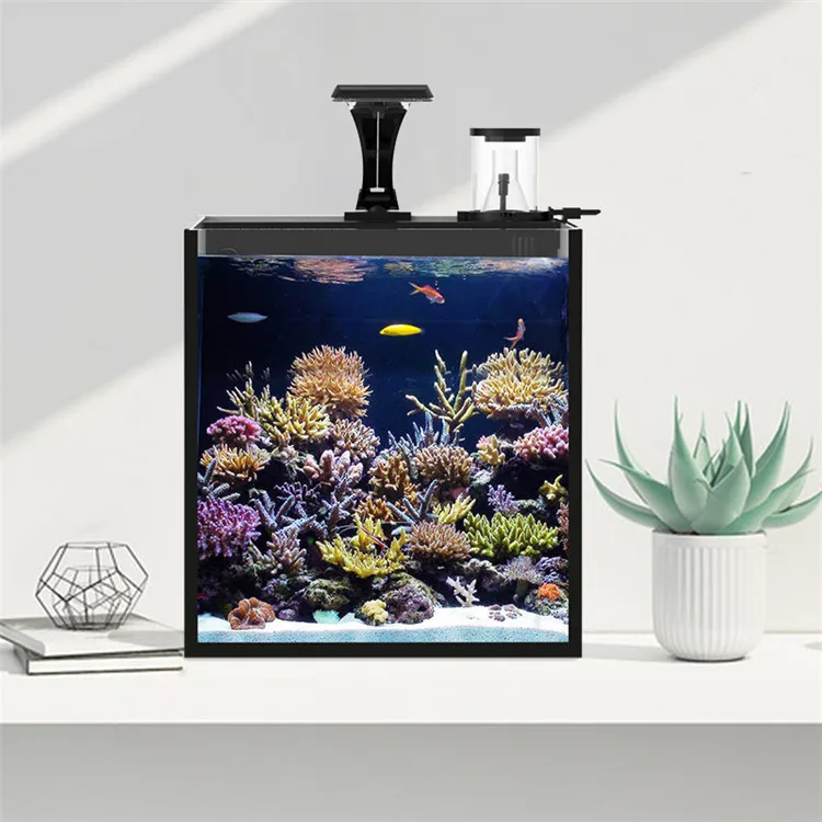 Latest Model Clear Glass Mini  - đánh giá và giá Aquarium Marine Clearwater