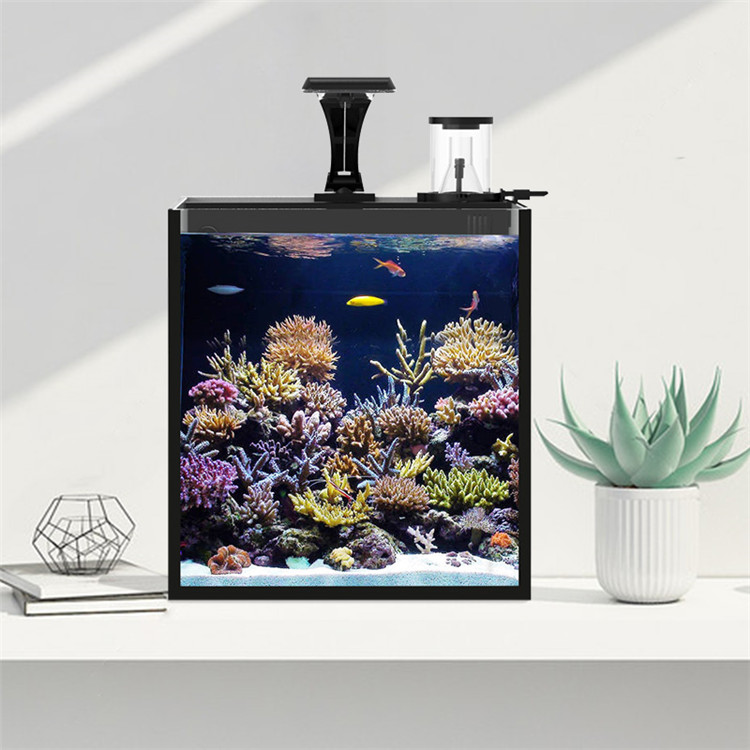 Skynuo Ultra Clear Glass Mini  - đánh giá và giá Aquarium Marine Clearwater