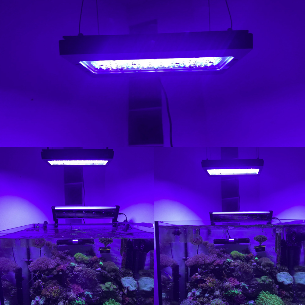 A8se Pro III MAX Blue 240W Mar - đánh giá và giá Aquarium Blue Marine Reef