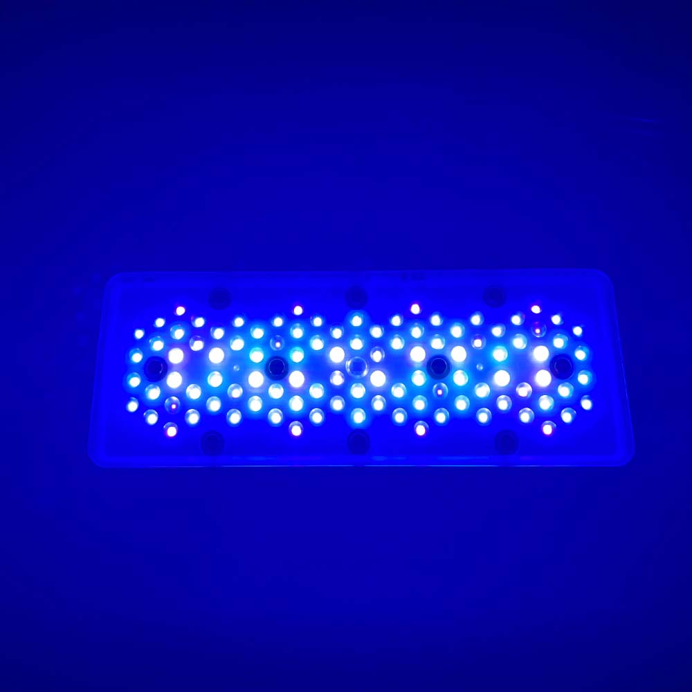 A8se A8PRO III BLUE 240W Marin - đánh giá và giá Aquarium Blue Marine Reef
